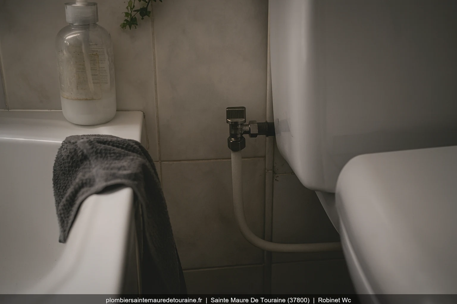 Installation robinet WC par plombier professionnel a Sainte-Maure-de-Touraine (37800)